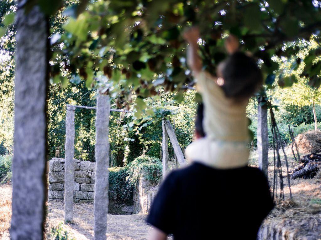 Aldea Rural Pazos De Arenteiro ξενώνας Εξωτερικό φωτογραφία