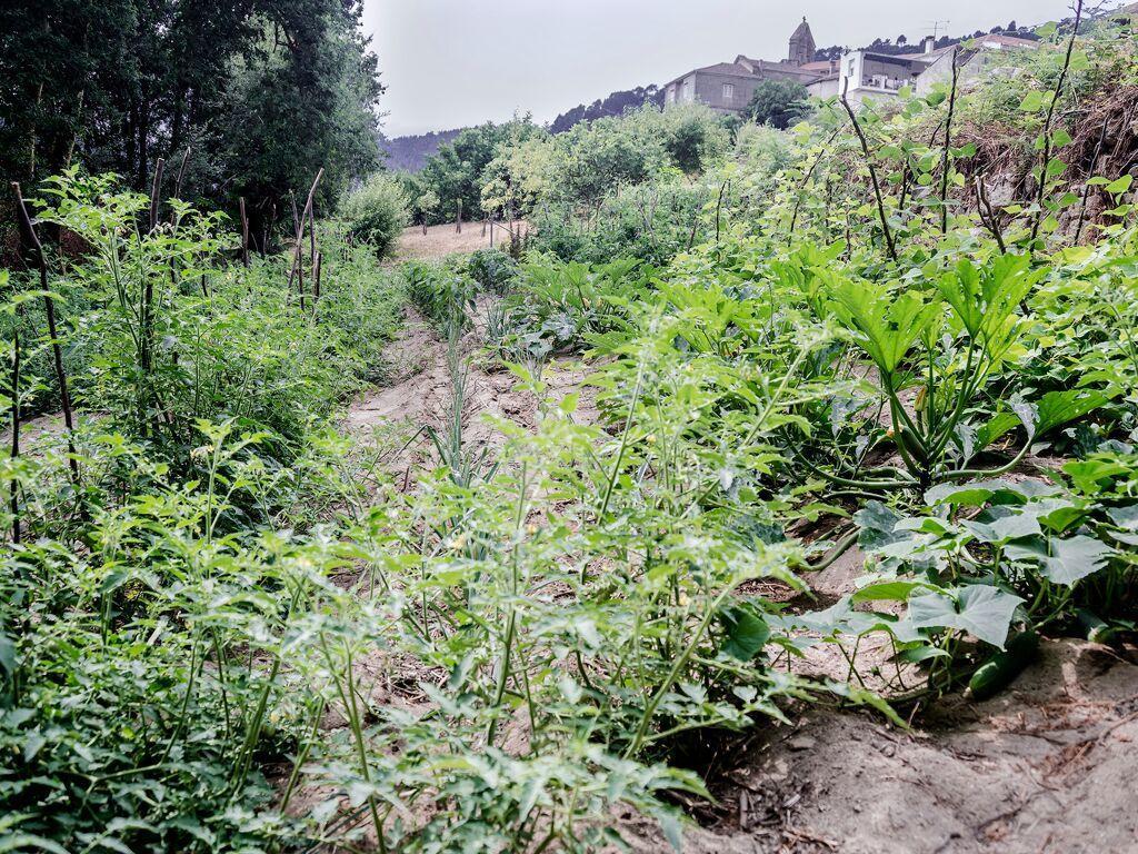 Aldea Rural Pazos De Arenteiro ξενώνας Εξωτερικό φωτογραφία